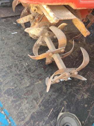 Motocultor Honda