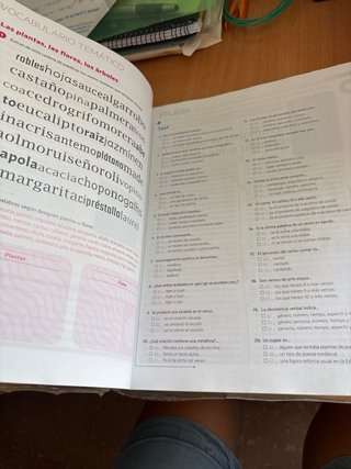 Reflejo 1. Lengua castellana y Literatura 1 ESO