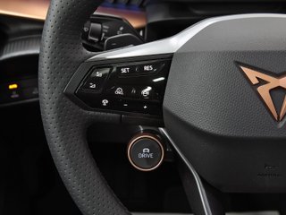 CUPRA TAVASCAN endurance