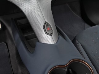 CUPRA TAVASCAN endurance