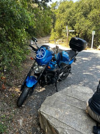 Yamaha FZ6 Naked 2009 Azul