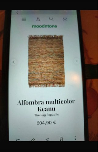 Alfombra tejida multicolor con flecos