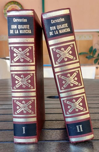 DON QUIJOTE DE LA MANCHA