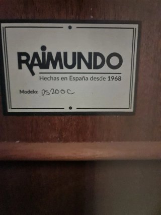 Guitarra Acústica Raimundo DS200C