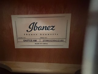 Guitarra Clásica Ibanez
