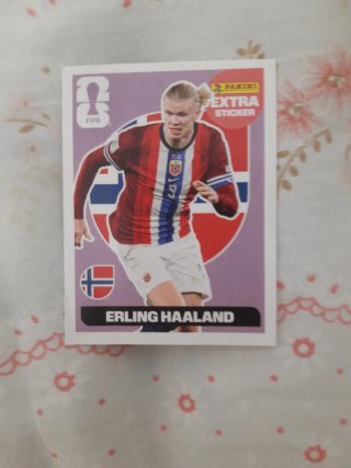 Lote de cartas fútbol en funda