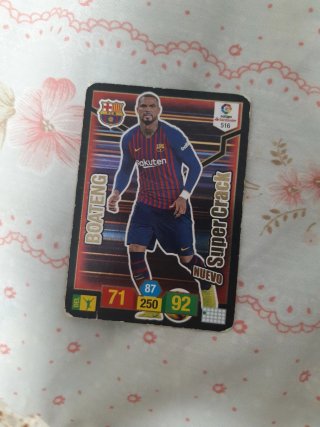 Lote de cartas fútbol en funda