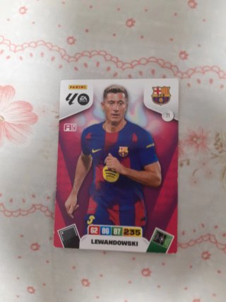 Lote de cartas fútbol en funda