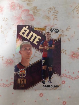 Lote de cartas fútbol en funda