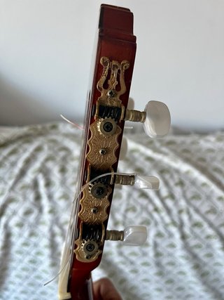 Guitarra Clásica Esteve 6PS