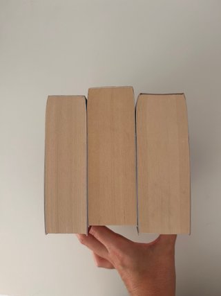 De sangre y cenizas (3 primeros libros)
