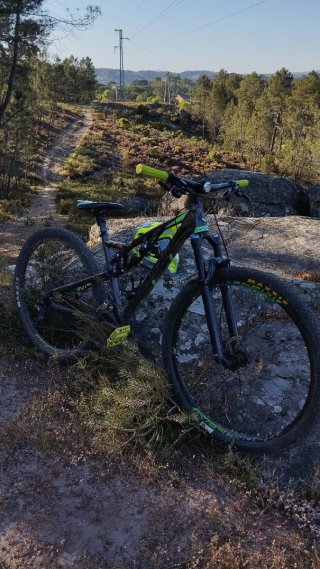 Bicicleta MTB 29