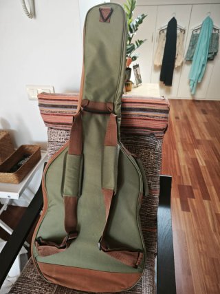 Epiphone DR-100 Guitarra Acústica y funda Ibanez