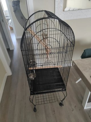 Jaula para pajaros