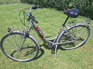 Bicicleta de adulto gris