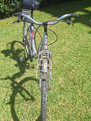 Bicicleta de adulto gris