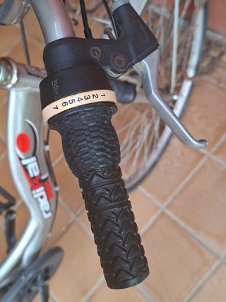 Bicicleta de adulto gris