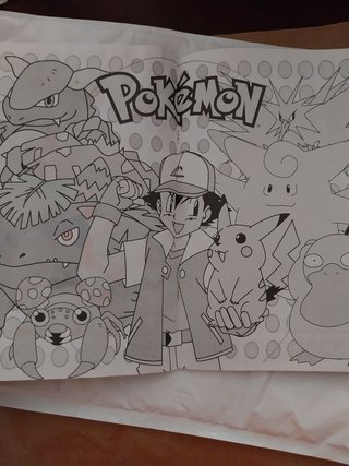 Pokémon Magic Painting Book 1, Gotta catch’em all,