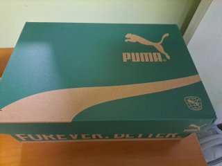 Zapatillas PUMA RS-X