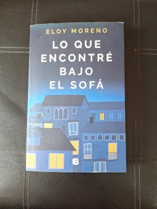 Lo que encontré bajo el sofá