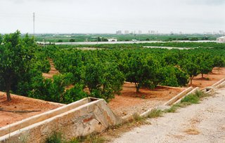Terreno en Tavernes de la Valldigna Valencia
