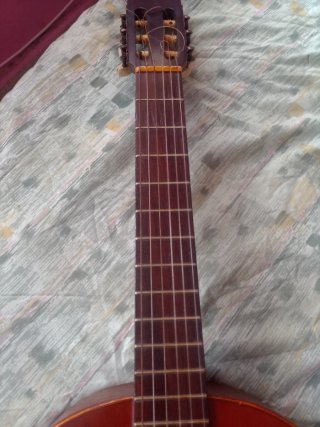 Guitarra con su funda y sus tres puas