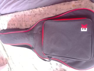 Guitarra con su funda y sus tres puas