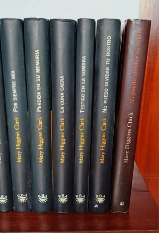 Lote novela negra P.Highsmith y M.H.Clark 12 libro