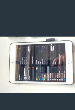 Ipad mini 5 Gris estudiante