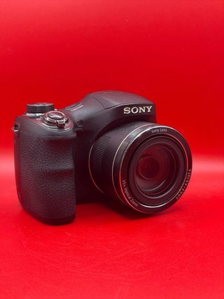 Sony H300