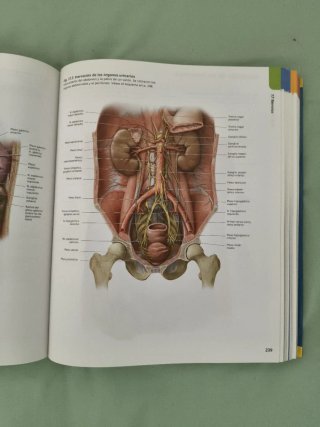 Atlas de anatomia/ Atlas of Anatomy Prometheus