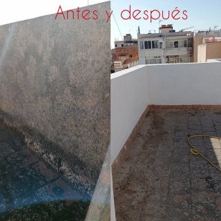Pintor y Albañil Profesional