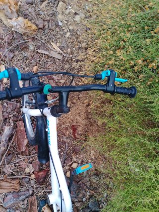 Bicicleta infantil 16 BTWIN