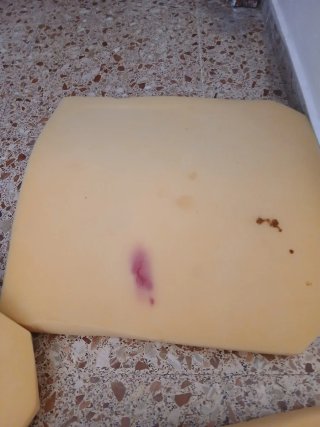 4 Esponjas para Sillas Amarillas
