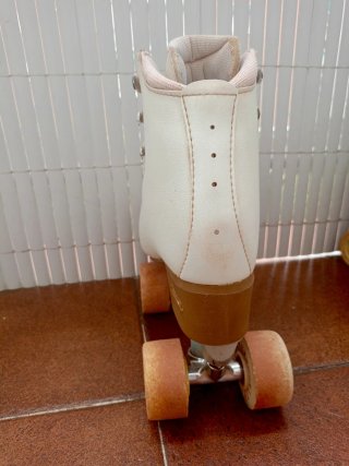 Patines Edea 255 + Roll-Line Variant
