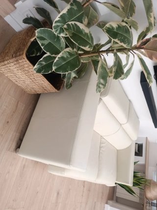 Divano in pelle beige