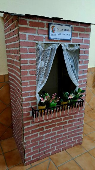 Disfraz Casa / La Vieja del Visillo