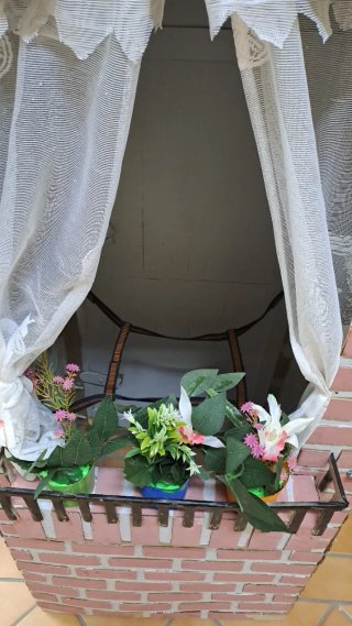 Disfraz Casa / La Vieja del Visillo
