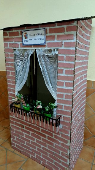 Disfraz Casa / La Vieja del Visillo
