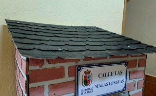 Disfraz Casa / La Vieja del Visillo