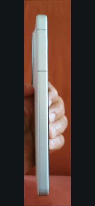 Vivo X300
