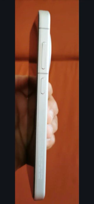 Vivo X300