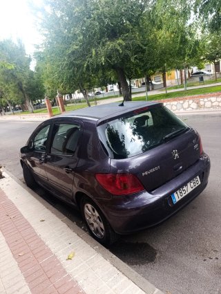 Peugeot 307 2003