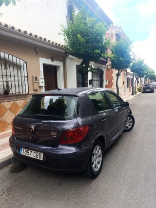 Peugeot 307 2003