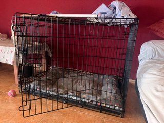 Jaula para perro negra