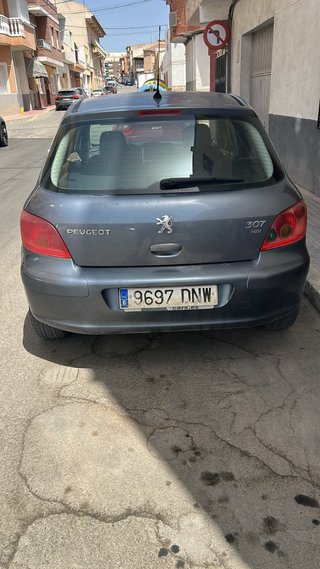 Peugeot 307 2005