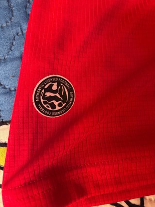 Camiseta Fútbol Marruecos Puma Talla M