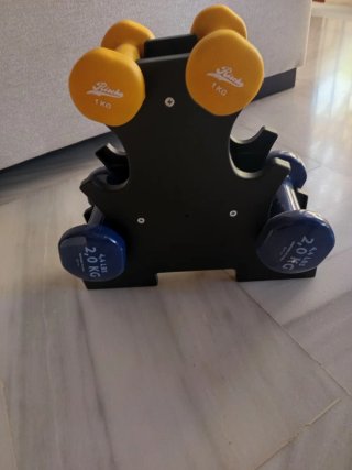Juego Mancuernas + Disco Equilibrio