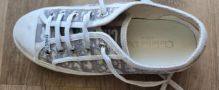 Dior Walk'n'Dior Sneakers Beige/Gris