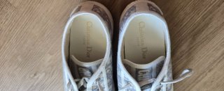Dior Walk'n'Dior Sneakers Beige/Gris